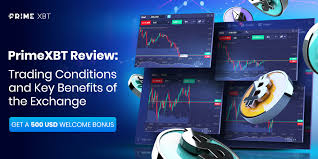 Understanding the PrimeXBT Forex Account Benefits and Features